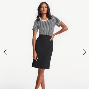 Ann Taylor Seamed Pencil Skirt in Bi-Stretch